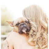 Entry image for Bellini