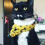 Entry image for Mr. Ninja