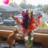 Entry image for Willy