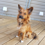 Entry image for Kyser