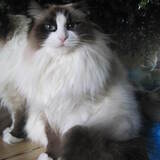 Entry image for Hailey