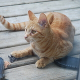 Entry image for August