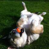 Entry image for Deh Zona