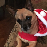 Entry image for Jake