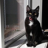 Entry image for Letty