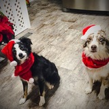 Entry image for Bentley/Indy 