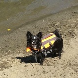 Entry image for Loki