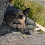 Entry image for Skye