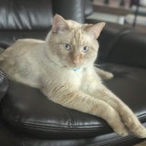 Entry image for Louis 