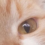 Entry image for Peekaboo