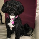 Entry image for KAIYA