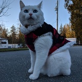 Entry image for Milly