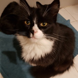 Entry image for Brooklyn