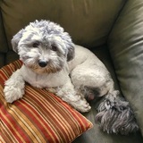 Entry image for Jett