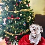 Entry image for Jett