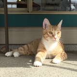 Entry image for George