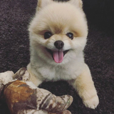 Entry image for Miki 