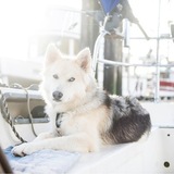 Entry image for River