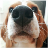 Entry image for Bing