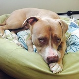 Entry image for Marcus