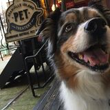 Entry image for Roxi