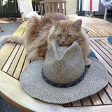 Entry image for Baxter