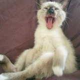 Entry image for Frida-Lynn