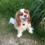 Entry image for Jackson