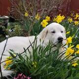 Entry image for Zeus