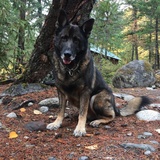 Entry image for Thor