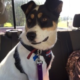 Entry image for Missy Mook