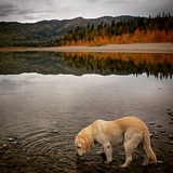 Entry image for Sully