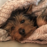 Entry image for Kevin