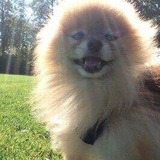 Entry image for Ms Chloe 