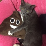 Entry image for Kelso