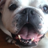 Entry image for Mona