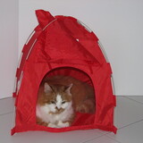 Entry image for Sebastian