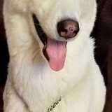 Entry image for Angel Bansal