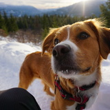 Entry image for Reyna