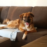 Entry image for Wrigley