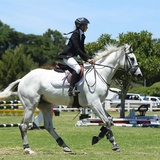 Entry image for Born Legend