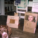 Entry image for Harley Davidson 