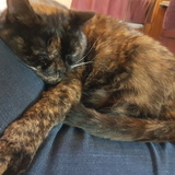 Entry image for Grace