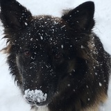 Entry image for Bobbie