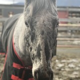 Entry image for Lightning