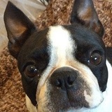 Entry image for Sweetie