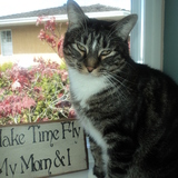 Entry image for Petey