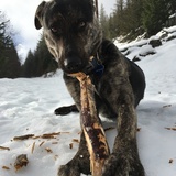 Entry image for Ninja