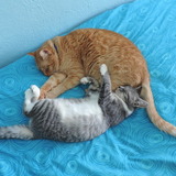 Entry image for Opie & Ellie