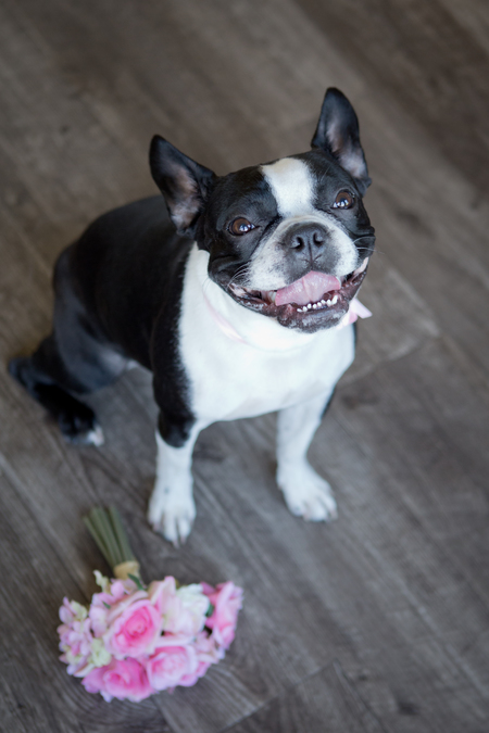 Entry image for Kyah. Clicking this image will show a larger photo